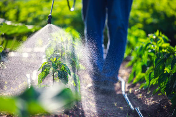 Pest Control for Warehouses in Oxford, PA